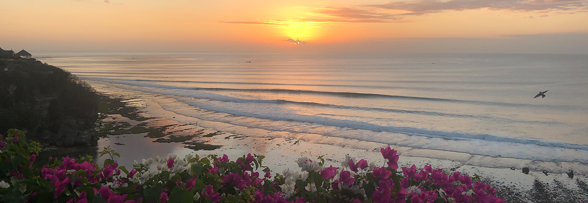 Melissa header
