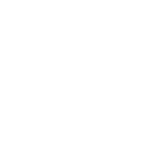 aaa logo white