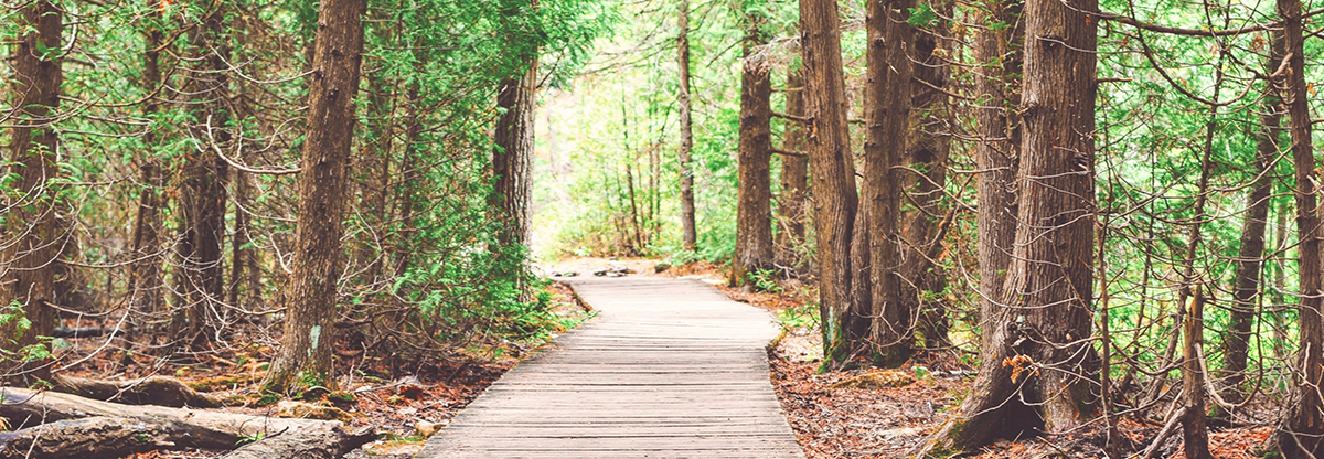 tina header